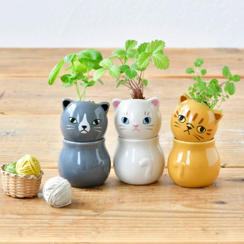 Corocoro Cat, Assorted 1pc
