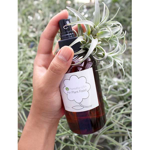 Air Plant Fertilizer, 8oz