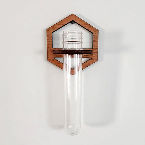 Hexagon Outline Propogation Station