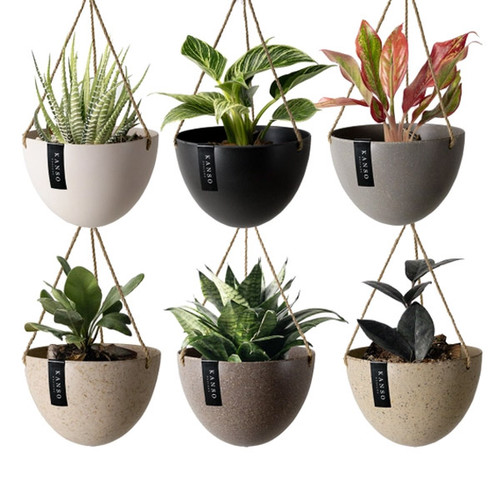 Upcycled Hanging Planter