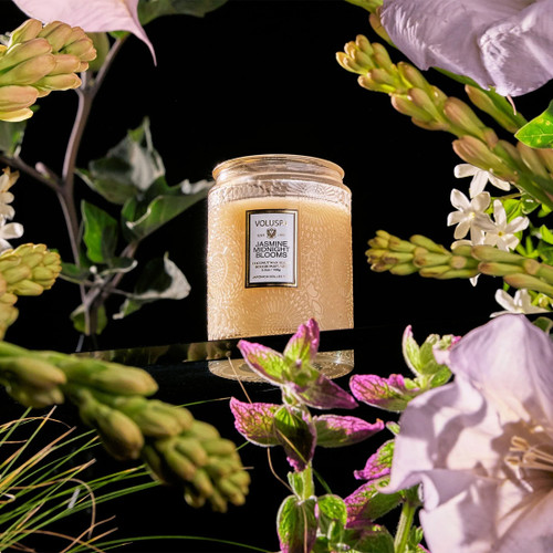 Voluspa Jasmine Midnight Blooms