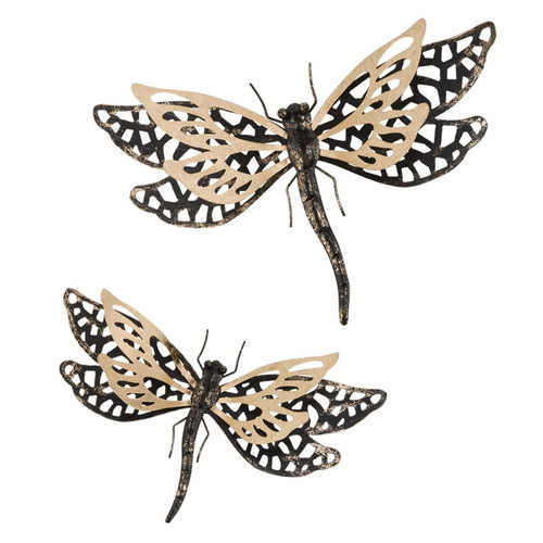 Onyx and Gold Dragonfly