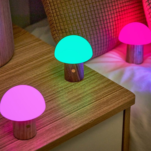 Alice Mushroom Lamp