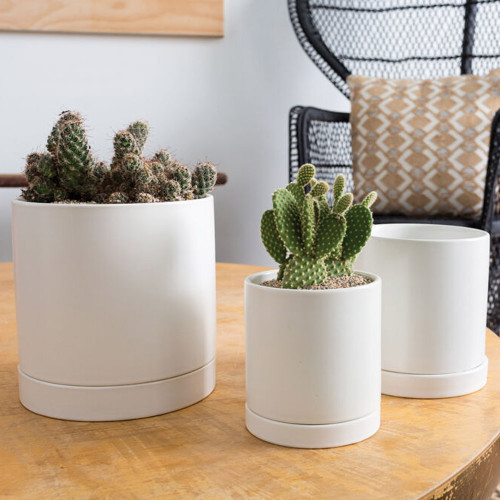 Romey Pot