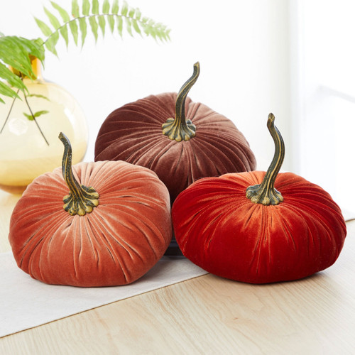 Velvet Pumpkin, Assorted 1pc