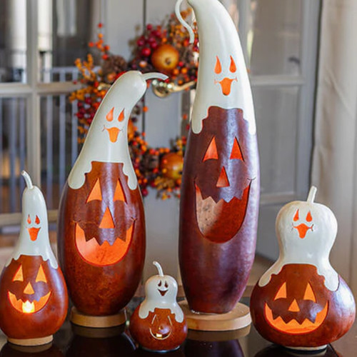 Casper Jack Gourd