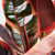 Ficus Decora Ruby, 6-Inch