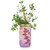 Herb Garden Jar - Parsley