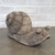 Garden Snail