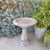 Elegant Bird Bath