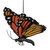 Bouncie Monarch Butterfly