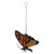 Bouncie Monarch Butterfly