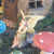 Woodland Knoll Mariposa Fairy