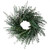Baby Eucalyptus Wreath