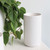 Kendall Vase in White