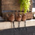 Bird Shelf Sitter, Assorted 1pc