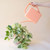 Breeze Block Watering Can, Peach