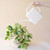 Breeze Block Watering Can, Ivory