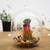 Hanging Pill Vase Glass Terrarium