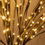 Lighted Willow Branches