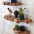 Takara Live Edge Shelf