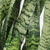 Sansevieria Zeylanica