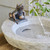 Frog Fountain