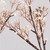 Lighted Baby's Breath Branches, 30"