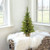 Pine Tree in Burlap, 36-Inch