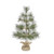 Mountain Pine Tree, 24-Inch
