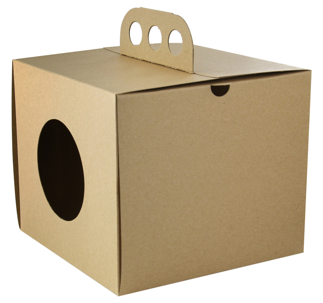 Brass knuckle box - 6.9 x 6.9 x 5.9