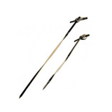 Sample of 209BBTINGI10