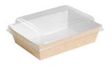 Sample of 210PANL851