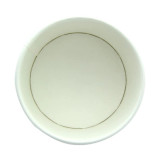 Sample of 210POC121N