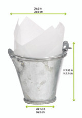Sample of 210SXM01