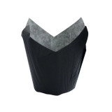 Sample of 210CPST1N