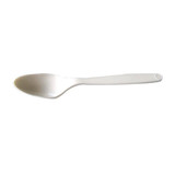 Cornstarch (PLA) Cutlery Spoon - L:7in - 576 pcs