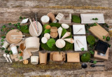 Bio n Chic White Sugarcane Plate - L:6.3in W:6.3in H:0.55in - 100 pcs