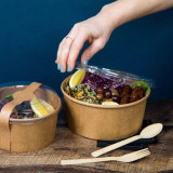 Sample of 210PCL185L