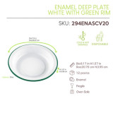 Sample of 294ENASCV20