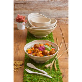 Samples of 294WSOUP600