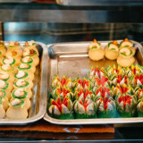 Sample of 294IPL3627