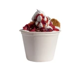 White Sugarcane Takeout Bowl (No added PFAs) - 16oz D:4.3in - 500 pcs