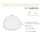 Sample of 294RPL1101