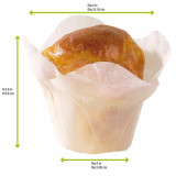 Sample of 209CPSL2B