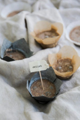 Sample of 209CPSL2B