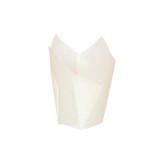 Sample of 209CPST3B