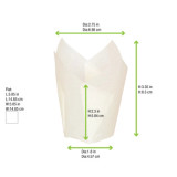 Sample of 209CPST3B