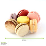 Round Insert for 7 Macarons (1x4) with Clip Closure for 210SAMBOL155 & 210PC750B - D:5.1in H:0.7in - 150 pcs