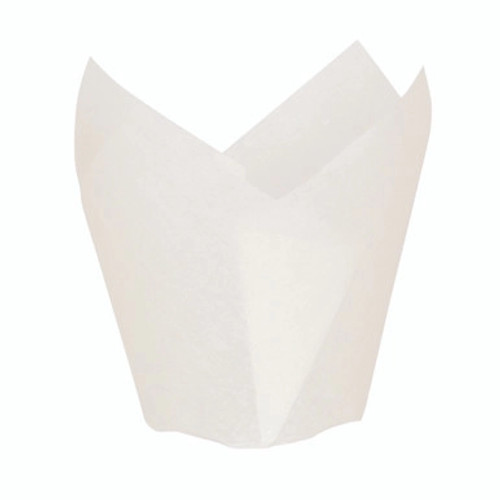 Sample of 209CPST1B Sample of 209CPST1B